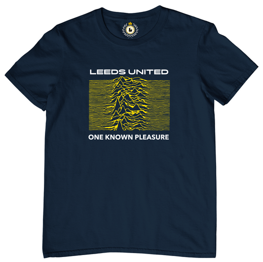 'LEEDS - ONE KNOWN PLEASURE' Tee Shirt