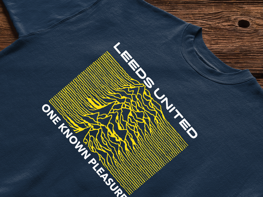 'LEEDS - ONE KNOWN PLEASURE' Tee Shirt
